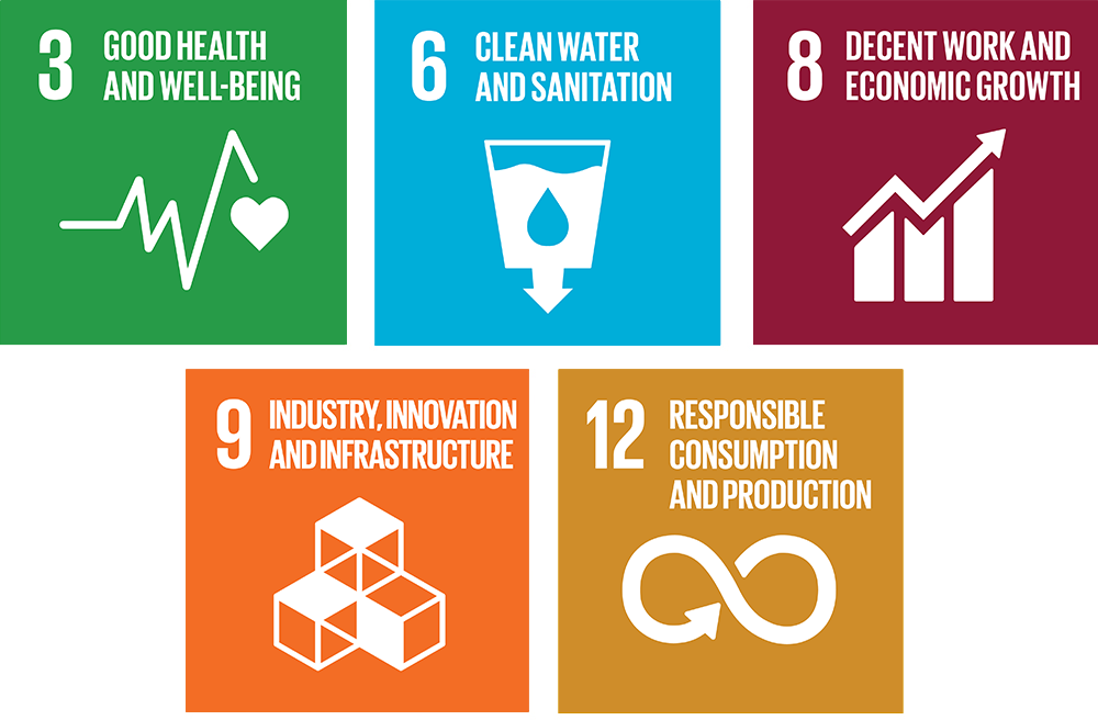 sdg icon publichygiene